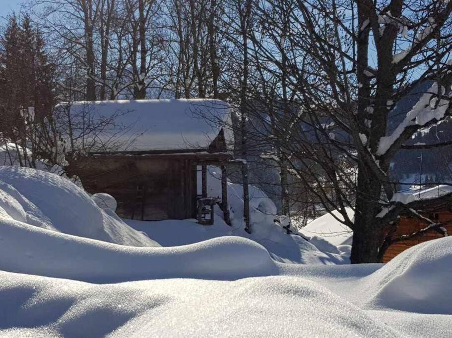 Superbe Chalet เลกงตามีน-มงฌัว ภายนอก รูปภาพ